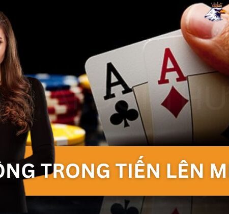 Tổng Quan Về Sảnh Rồng Trong Tiến Lên Miền Nam