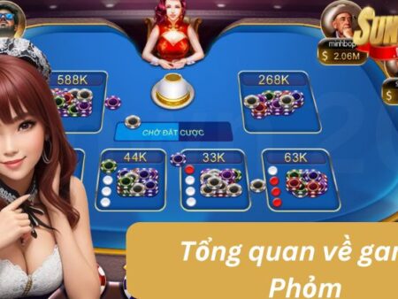 Hướng Dẫn Chơi Và Quy Tắc Phỏm Dành Cho Tân Binh